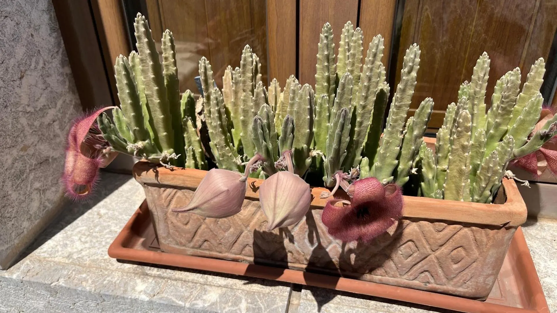 הוילה טאורמינה Adamas Domus